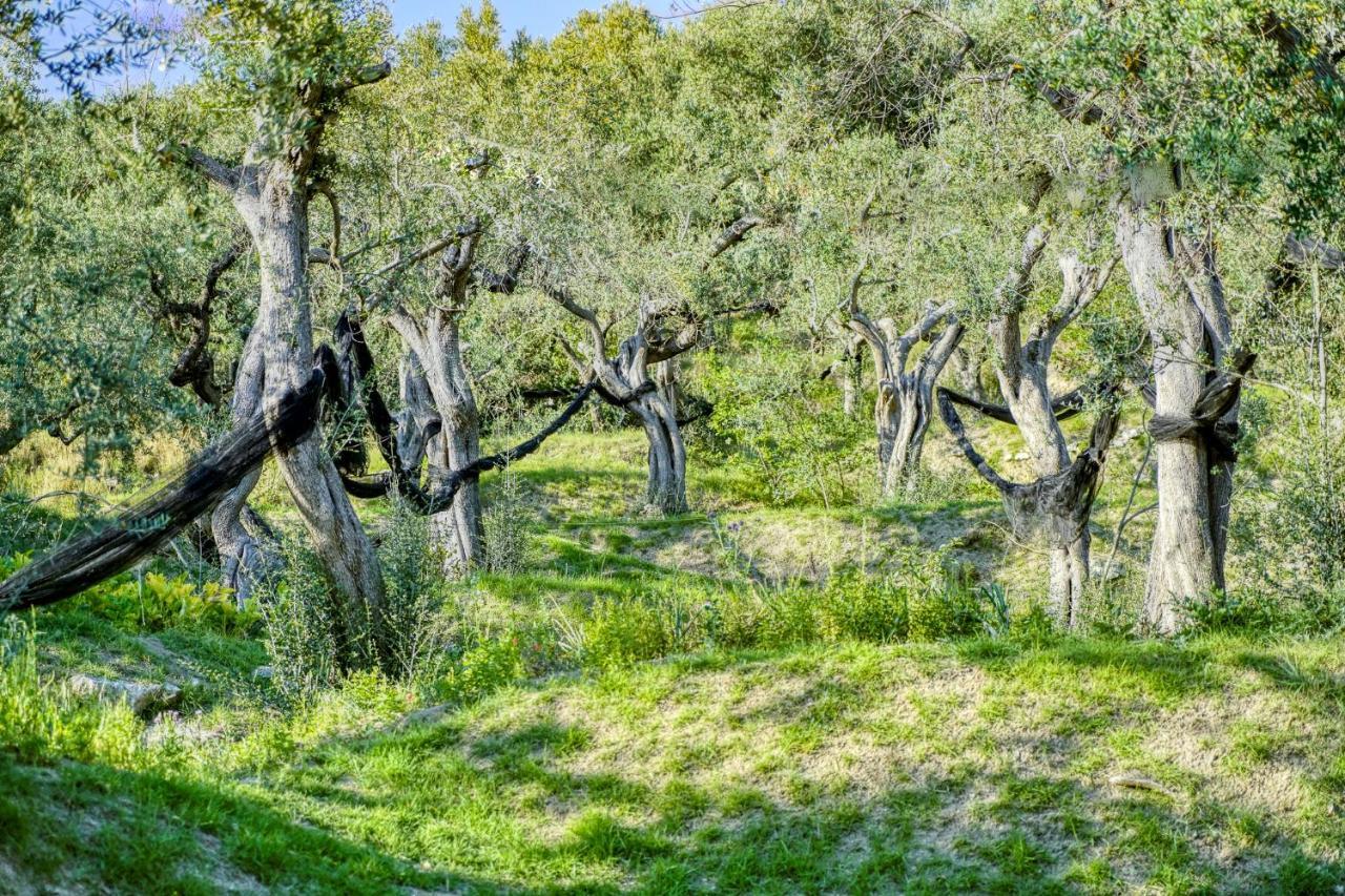 Villa Lorelei Massa Lubrense Buitenkant foto