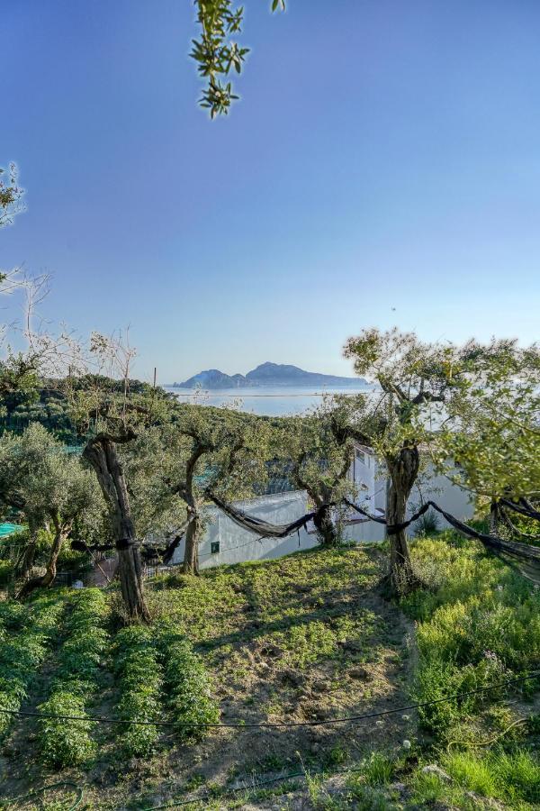 Villa Lorelei Massa Lubrense Buitenkant foto