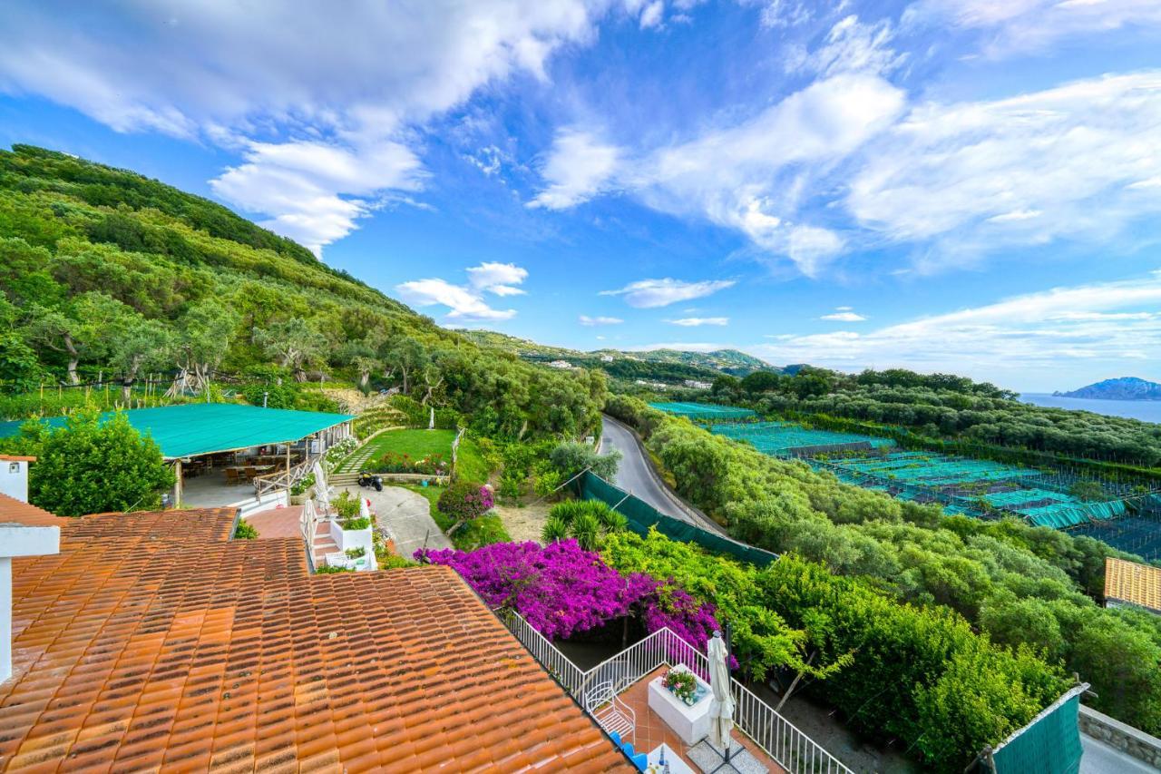 Villa Lorelei Massa Lubrense Buitenkant foto